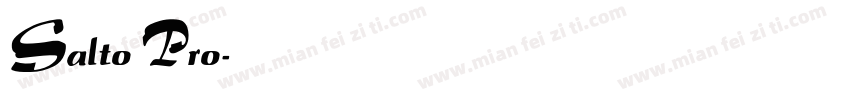 Salto Pro字体转换